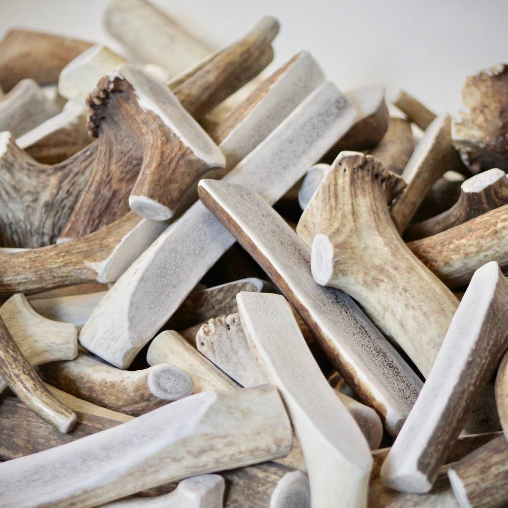 A Quick Lesson on Antler Chew Density