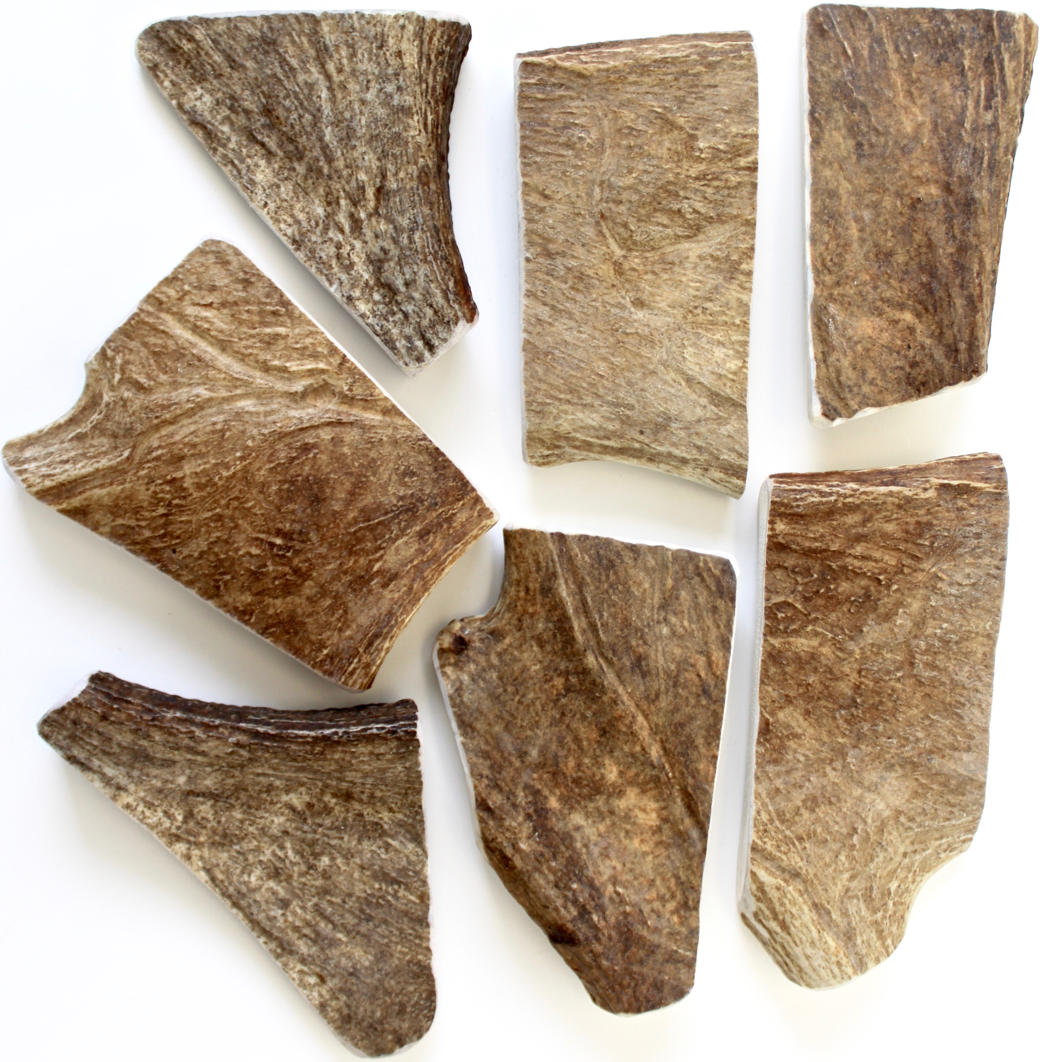 Moose Antler Dog Chews