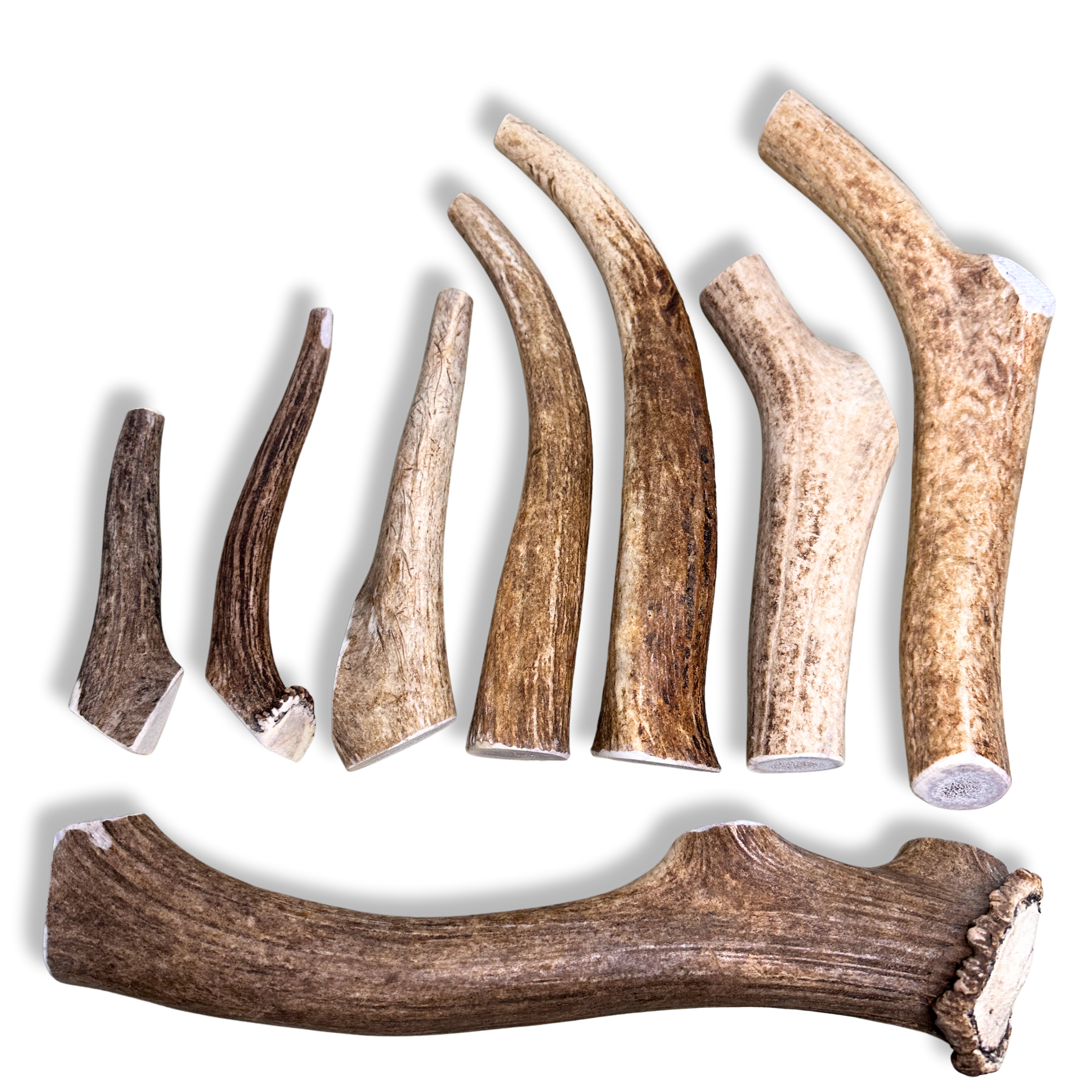 Elk Antler Dog Chews