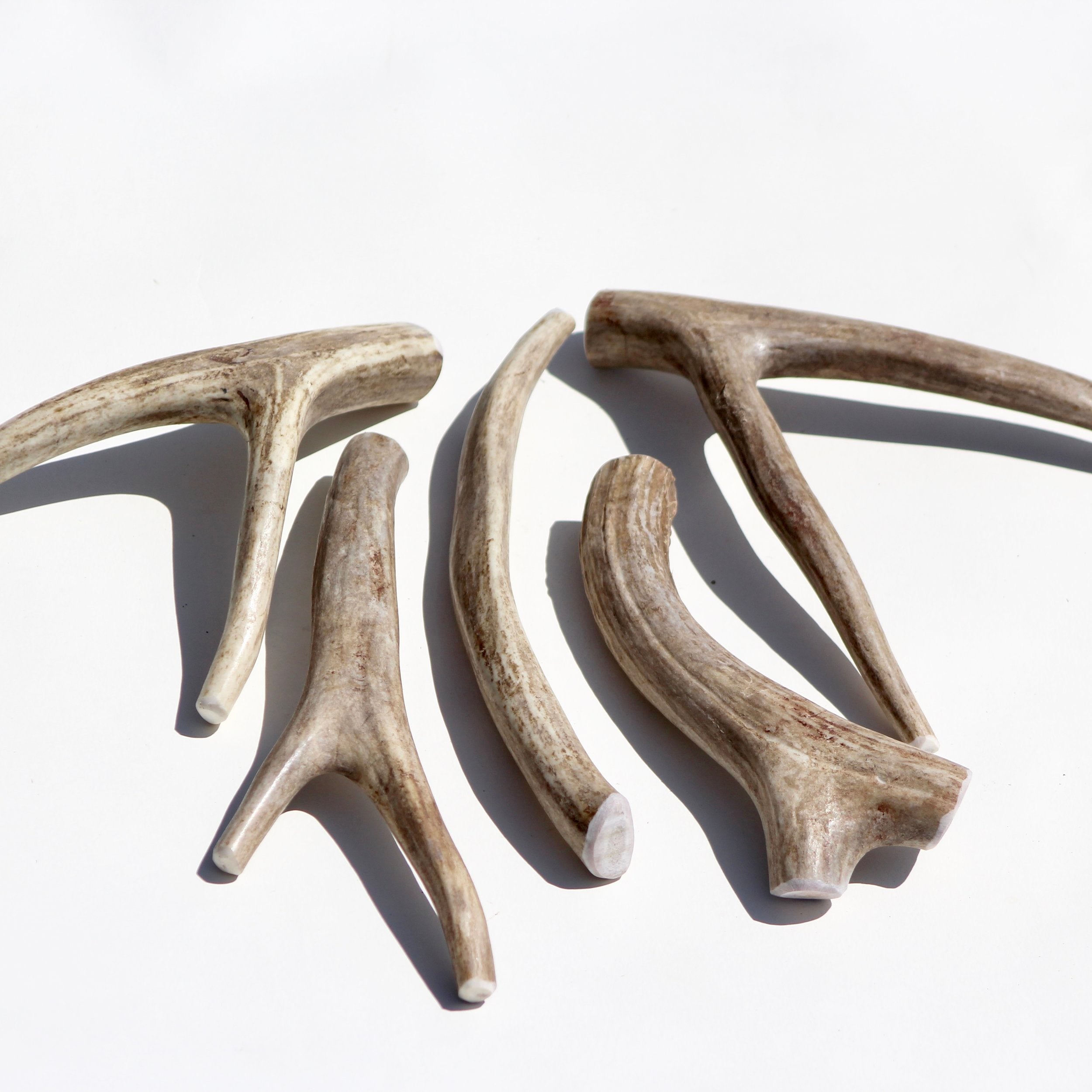 1lb Bulk Deer Antler Dog Chews