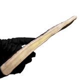 8" Moose Paddle (Exposed Marrow 4 Sides/Medium-high Density)