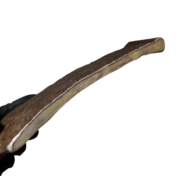 10" Large Moose Paddle (Medium Density)