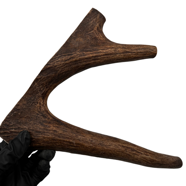 Moose Paddle (Medium-high Density)