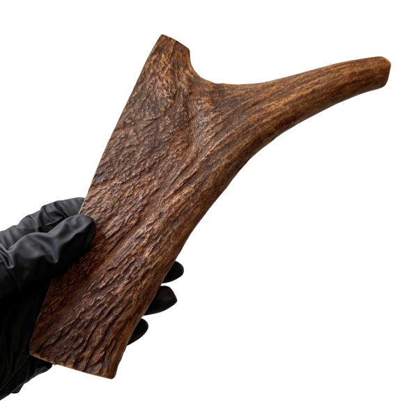 Moose Paddle (Medium Density)