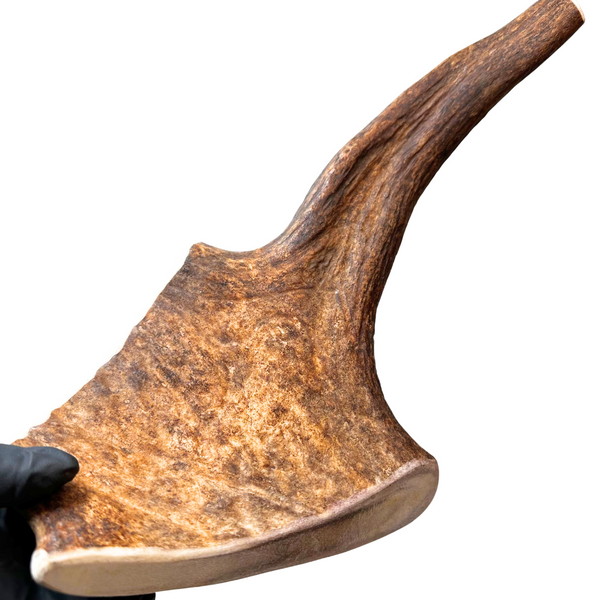 14.5" XL Moose Paddle + Tine (Strong Chewers)