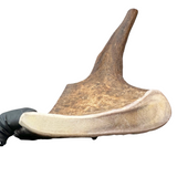 14.5" XL Moose Paddle + Tine (Strong Chewers)