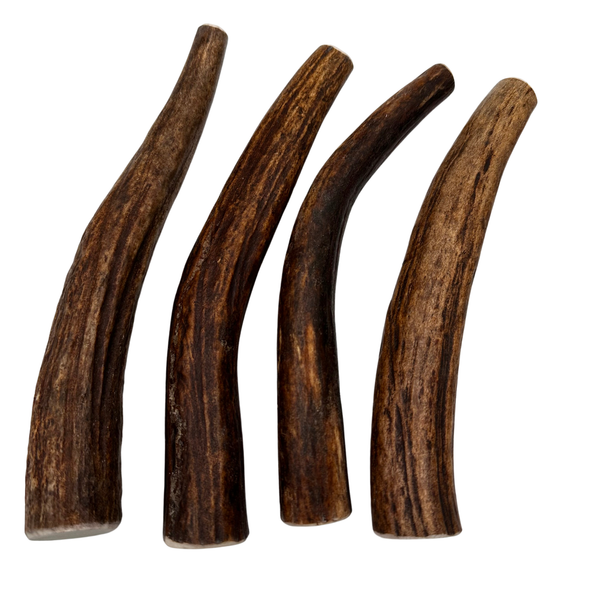 Moose Tines (Stronger Chewers/4 Pack)