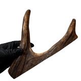 Moose Paddle (Medium Density)