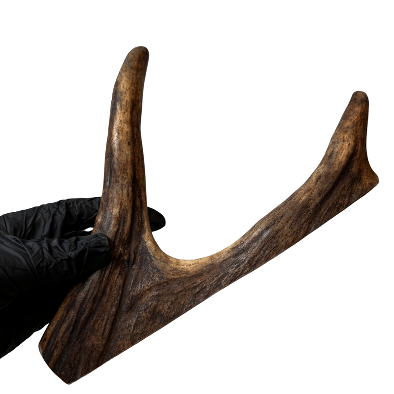 Moose Paddle (Medium Density)