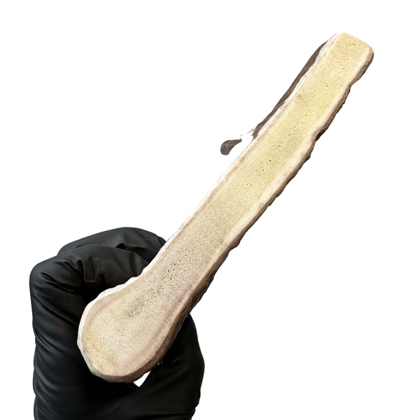 Thick Moose Paddle (Medium-high Density)