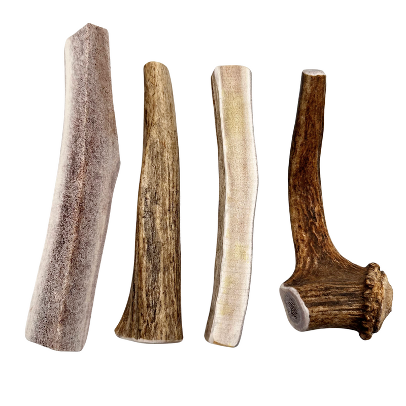 1lb Mystery Pack Antler Dog Chews