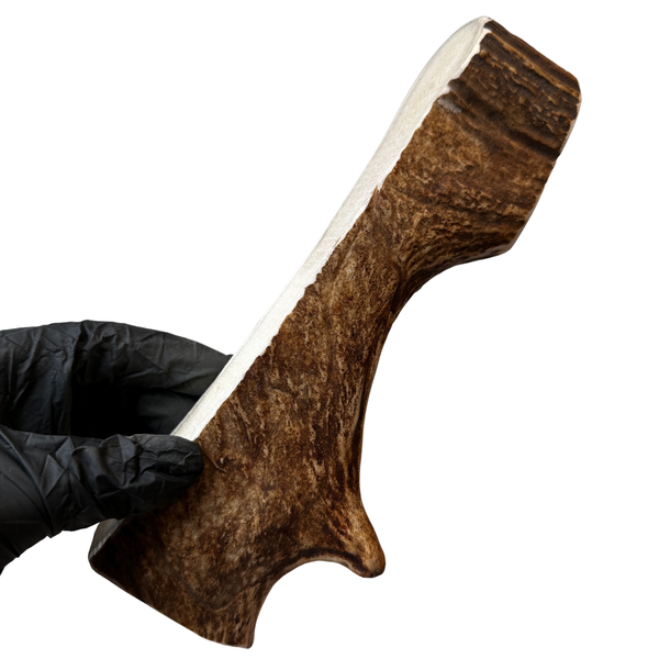 Thick Moose Paddle (Medium Density)