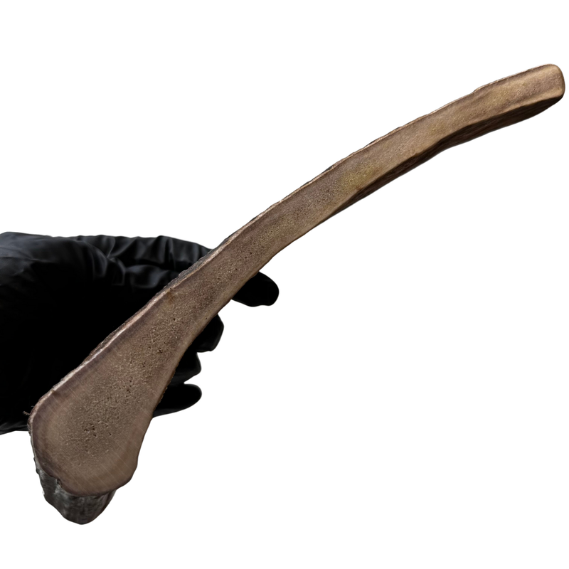 Moose Paddle (Medium Density)