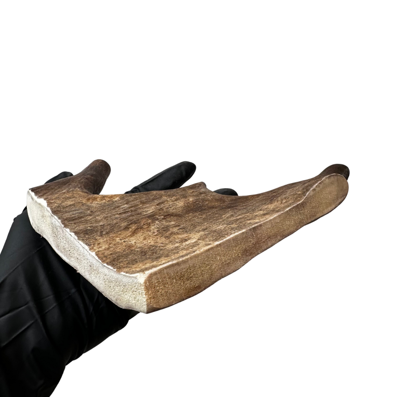 10" Large Moose Paddle (Medium Density)