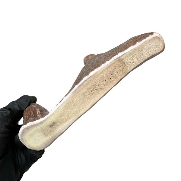 Moose Paddle (Medium-high Density)