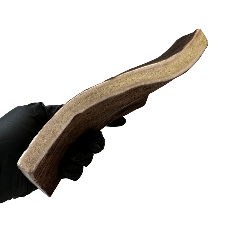 Moose Paddle (Medium-high Density)