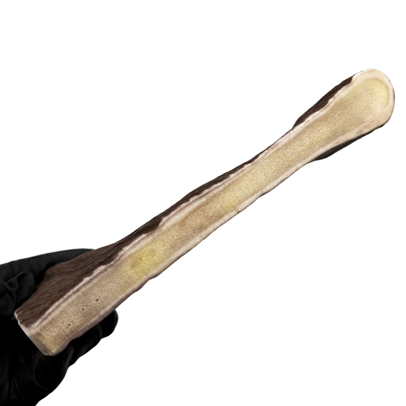 Moose Paddle (Medium Density)