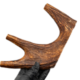 Moose Claw (Medium-high density)