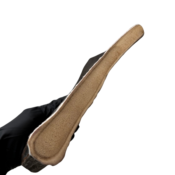 Large Thick Moose Paddle (Medium Density)