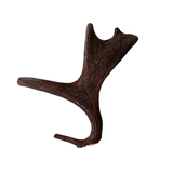 Medium Whole Moose Antler