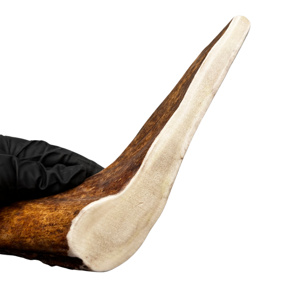 Thick Moose Paddle (Medium-high Density)