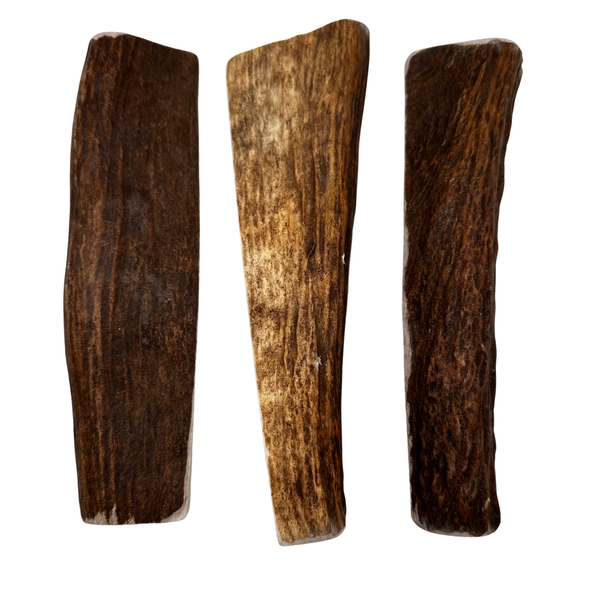 Moose Paddles (Medium-high Density/3 Pack)